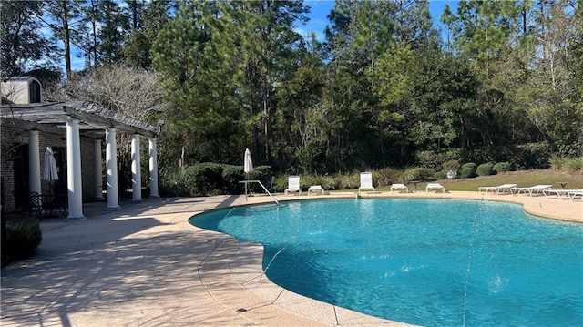 view of pool with a patio area and a pergola