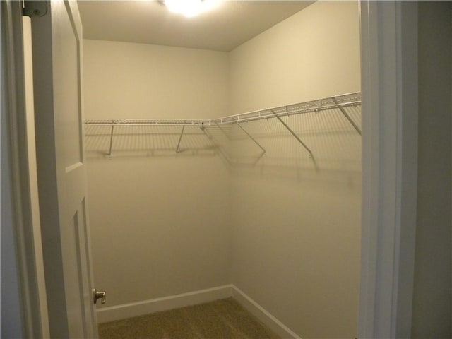 spacious closet with dark carpet