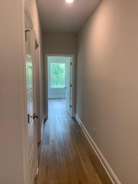 corridor featuring dark hardwood / wood-style flooring