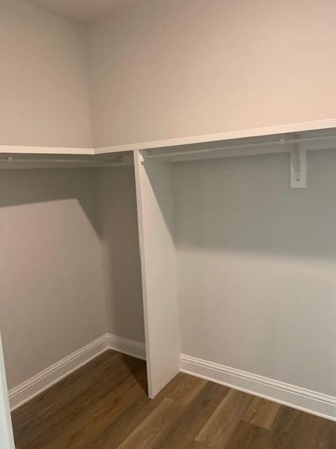 spacious closet featuring dark hardwood / wood-style flooring