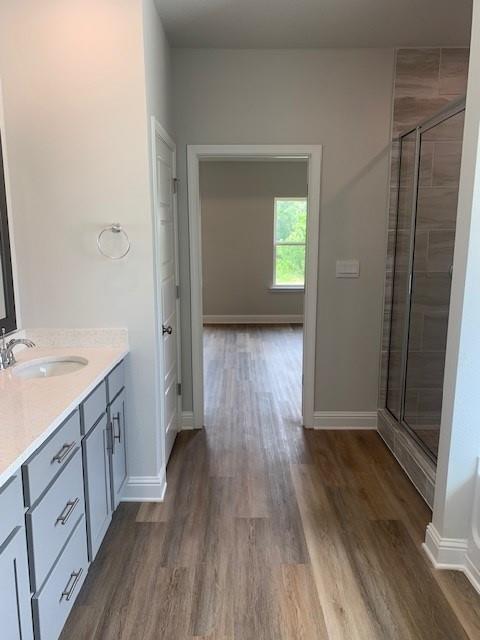 bathroom featuring wood-type flooring, a shower with shower door, and vanity