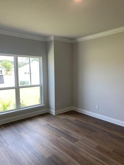 unfurnished room featuring ornamental molding, dark hardwood / wood-style flooring, and a wealth of natural light