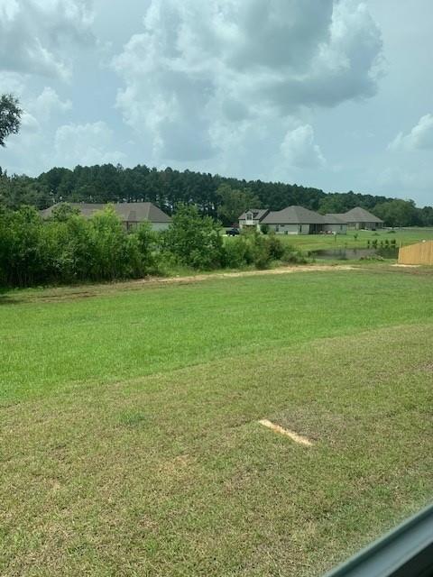 view of community featuring a lawn