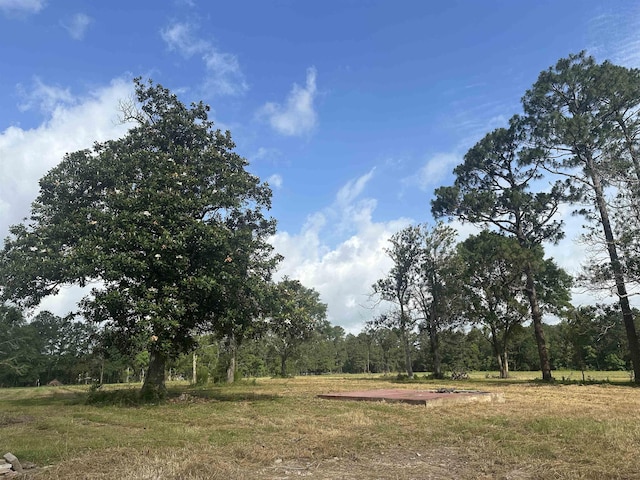 TR6 County Road 3114, Buna, TX 77612