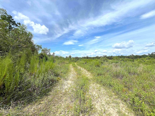 10215 E Gentry Dr, Silsbee, TX 77656 - photo 3