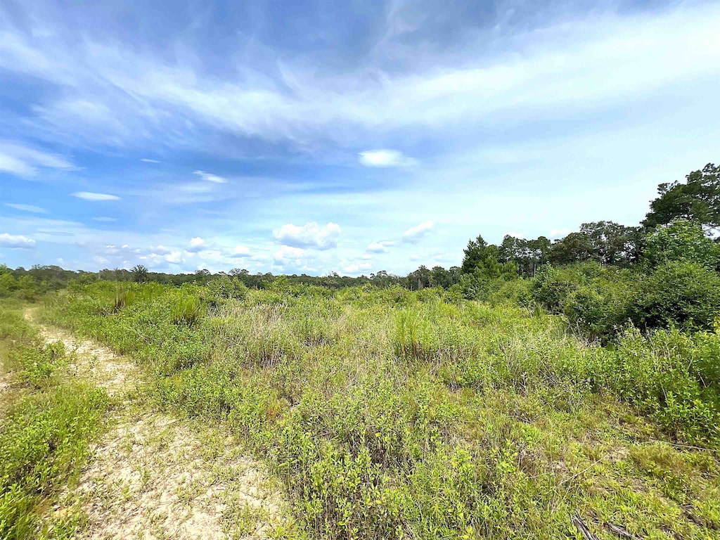 10215 E Gentry Dr, Silsbee, TX 77656 - photo 2