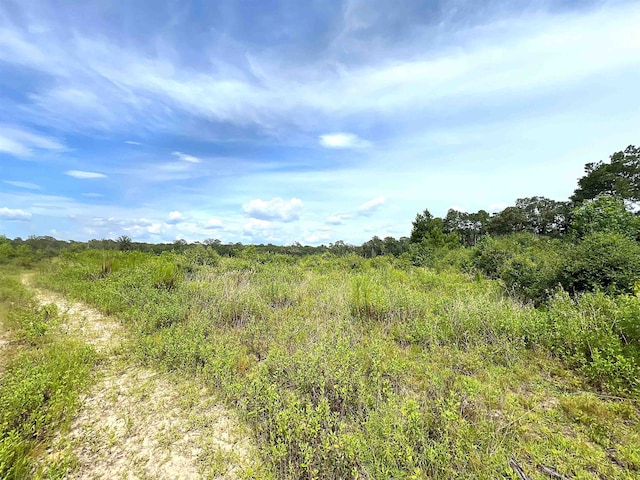 10215 E Gentry Dr, Silsbee, TX 77656 - photo 2