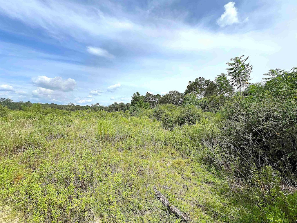 10215 E Gentry Dr, Silsbee, TX 77656 - photo 1
