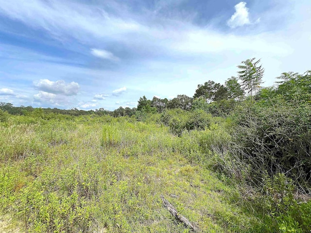 10215 E Gentry Dr, Silsbee, TX 77656 - photo 1