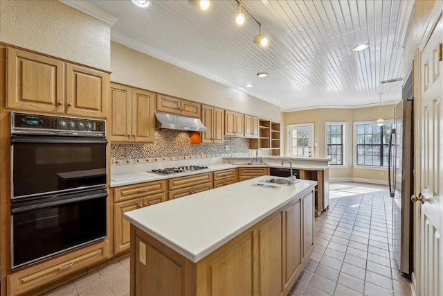 kitchen featuring light tile patterned floors, stainless steel appliances, backsplash, a sink, and under cabinet range hood