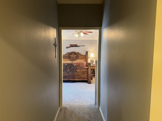 hallway featuring carpet flooring and crown molding