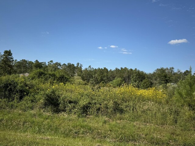 LOT74 Pine Park Blvd, Orange, TX 77632 - photo 7