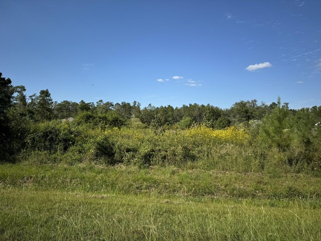 LOT74 Pine Park Blvd, Orange, TX 77632 - photo 8