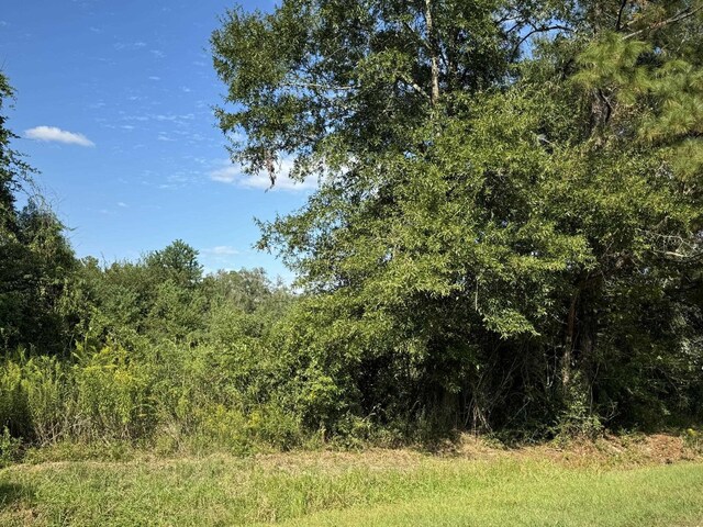 LOT74 Pine Park Blvd, Orange, TX 77632 - photo 4
