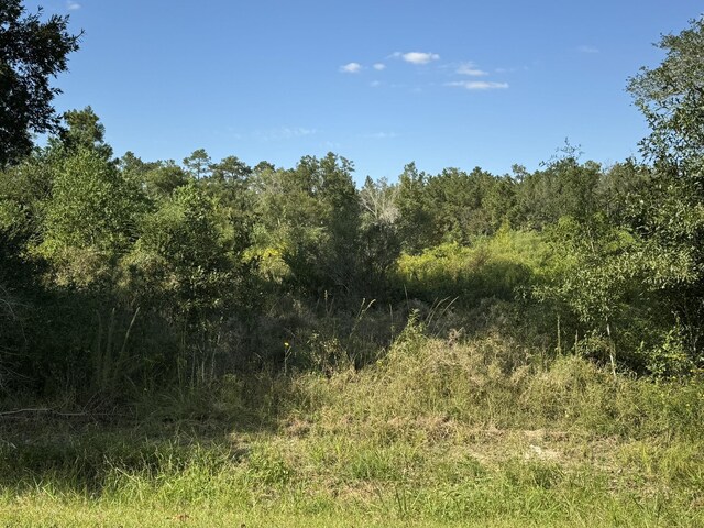 LOT74 Pine Park Blvd, Orange, TX 77632 - photo 6