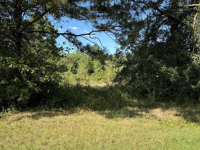 LOT74 Pine Park Blvd, Orange, TX 77632 - photo 5