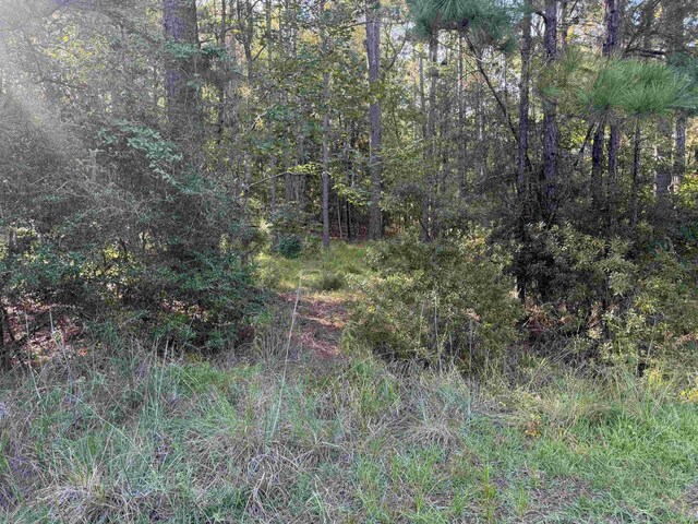 019 Dagger, Brookeland, TX 75931