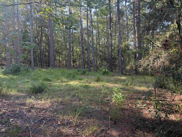 019 Dagger, Brookeland, TX 75931