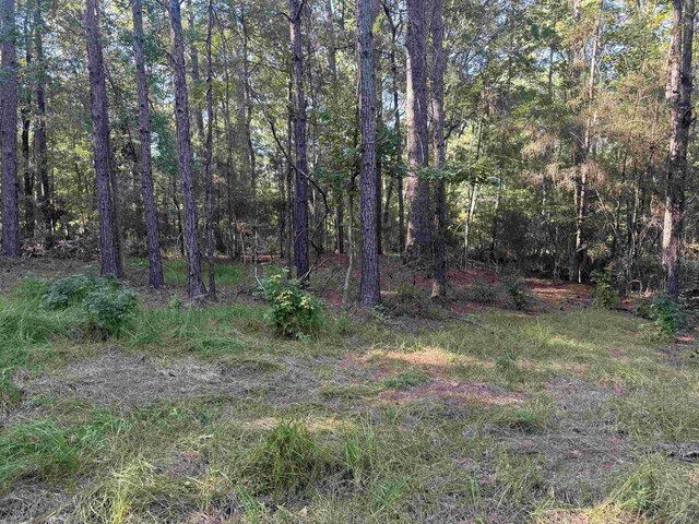 019 Dagger, Brookeland, TX 75931