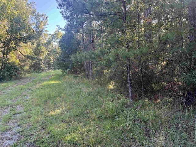 019 Dagger, Brookeland, TX 75931