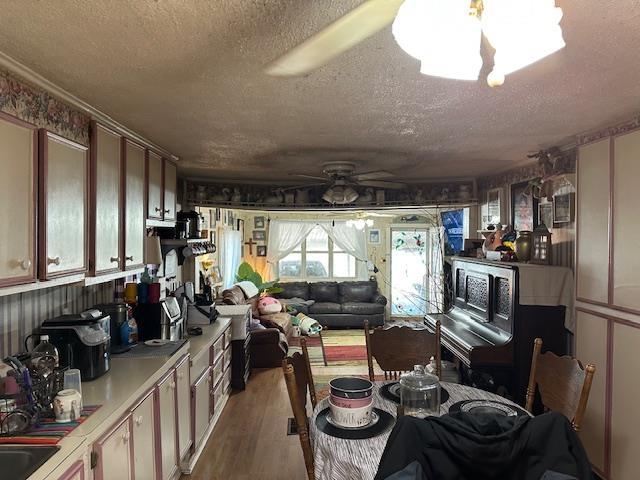 dining area featuring ceiling fan, sink, light wood-type flooring, and a textured ceiling