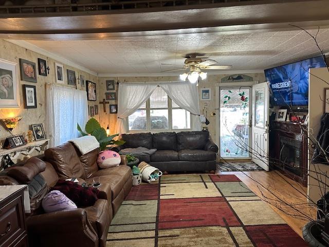 living room with ceiling fan, a large fireplace, and crown molding