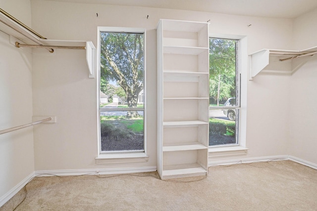 walk in closet featuring carpet flooring