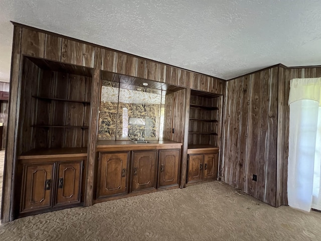 bar area featuring wooden walls, a textured ceiling, carpet flooring, a sink, and built in shelves