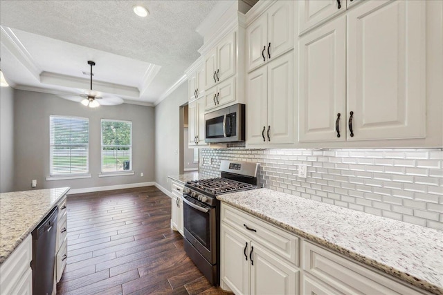 145 Colonial Estates Dr, Bridge City, TX 77611 - kitchen featuring appliances with stainless steel finishes, a raised ceiling, a ceiling fan, dark wood finished floors, and white cabinets