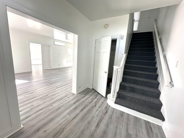 stairs with hardwood / wood-style flooring