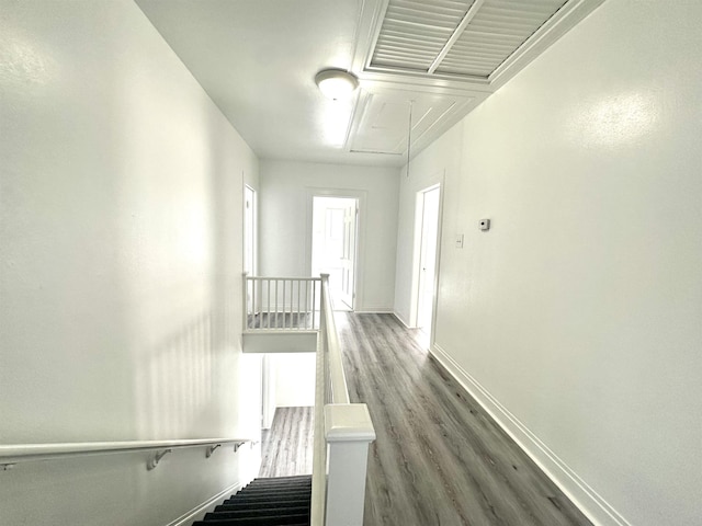 hallway featuring dark wood-type flooring