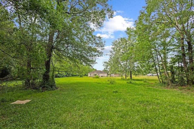 3329 Model Dr, Kountze, TX 77625 - view of green lawn