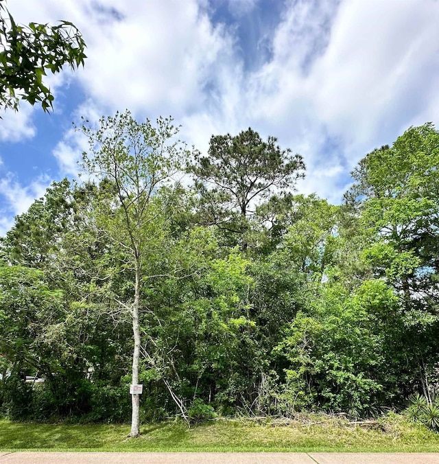 470 S Dewitt Rd, Vidor, TX 77662 - photo 2