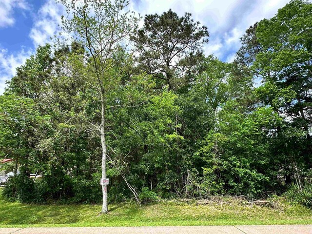 470 S Dewitt Rd, Vidor, TX 77662 - photo 10