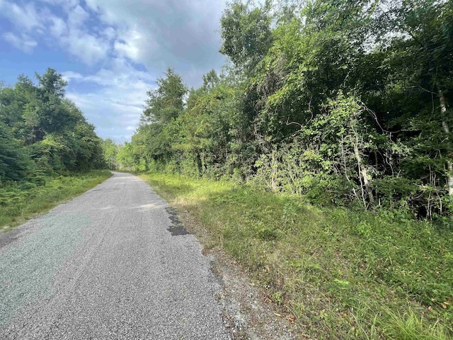 TRACT3 County Road 786, Buna TX, 77612 land for sale