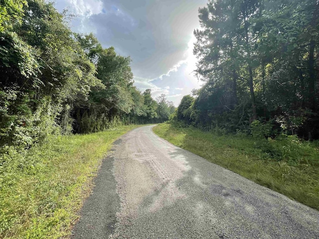 Listing photo 3 for TRACT3 County Road 786, Buna TX 77612