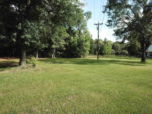 39450 S US Highway 96, Buna, TX 77612 - photo 5
