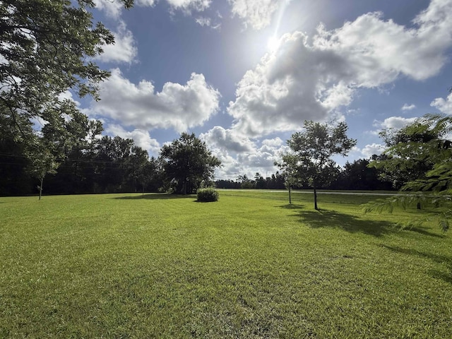 39450 S US Highway 96, Buna, TX 77612 - photo 8