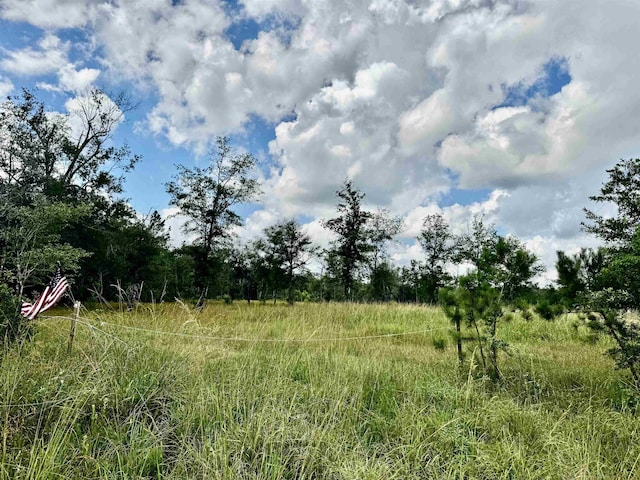 8982 Fm 2246th Rd, Buna, TX 77612