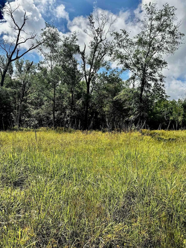 8982 Fm 2246th Rd, Buna, TX 77612