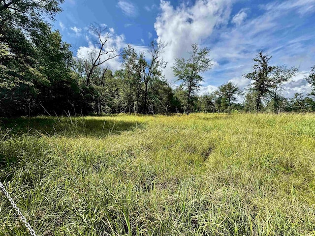 8982 Fm 2246th Rd, Buna, TX 77612