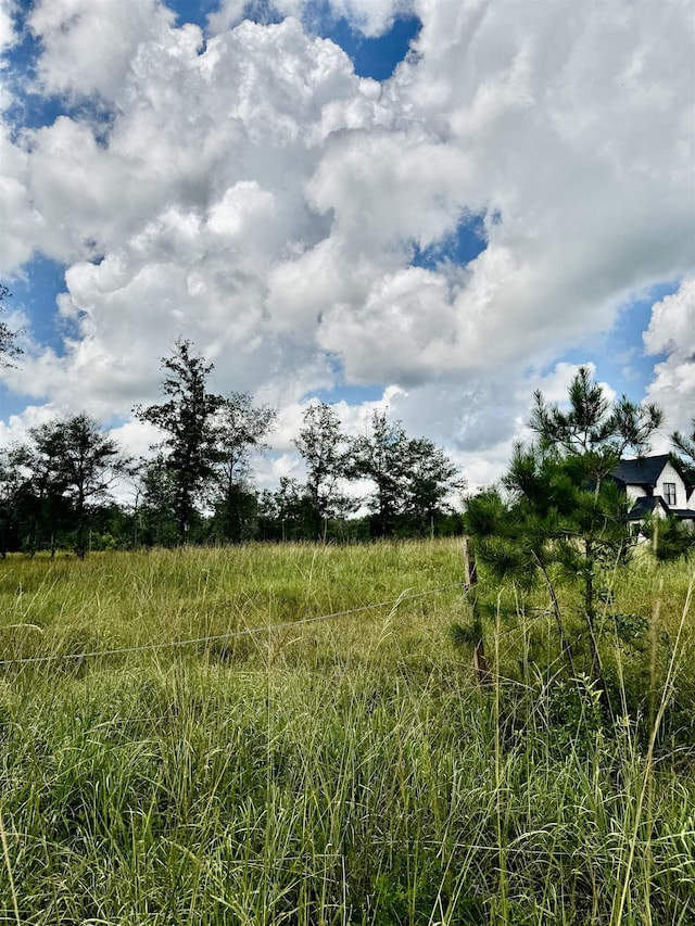 8982 Fm 2246th Rd, Buna, TX 77612