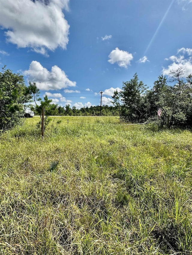 8982 Fm 2246th Rd, Buna, TX 77612