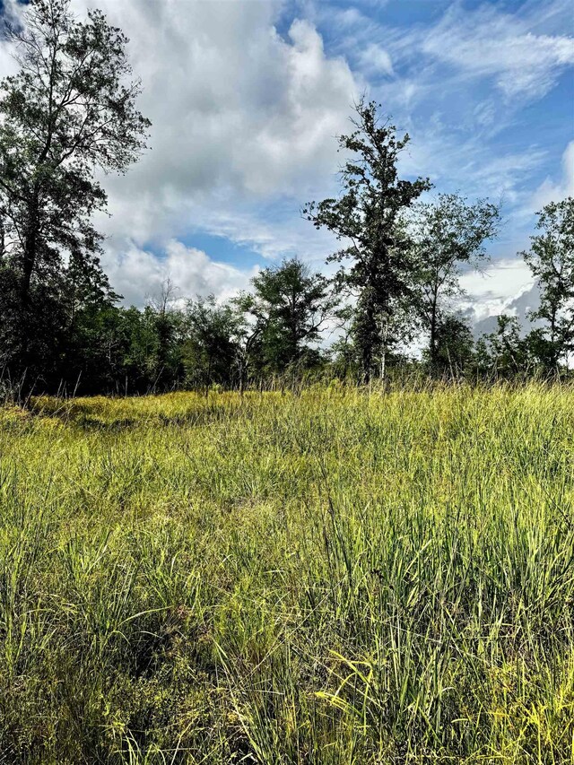 8982 Fm 2246th Rd, Buna, TX 77612