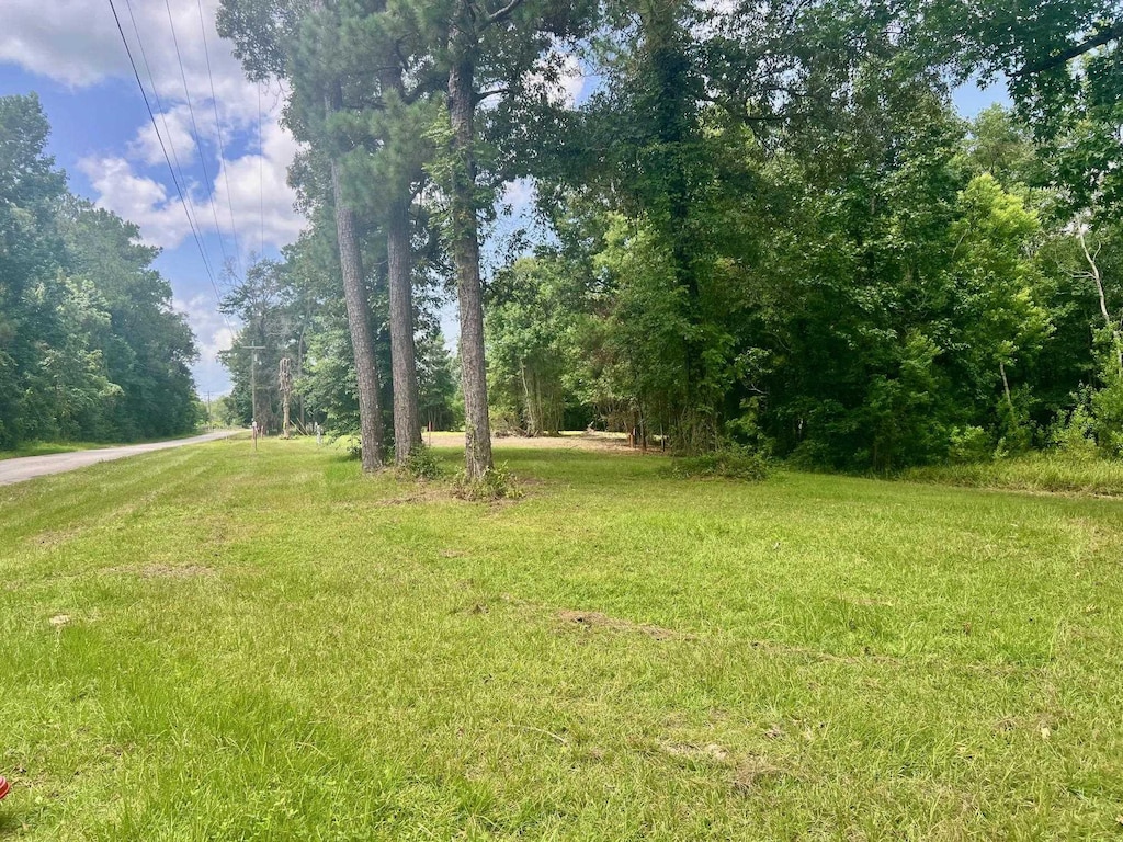 2502 County Road 716, Buna, TX 77612 - photo 2