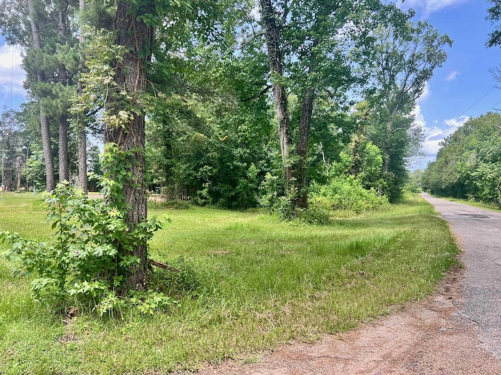2502 County Road 716, Buna, TX 77612 - photo 1