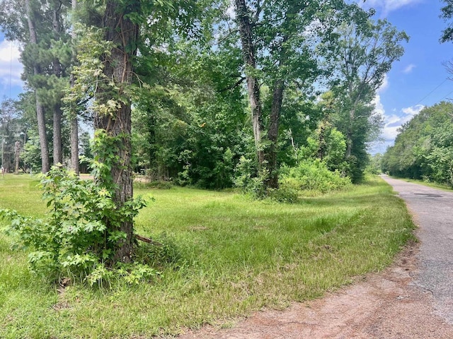 2502 County Road 716, Buna, TX 77612 - photo 1