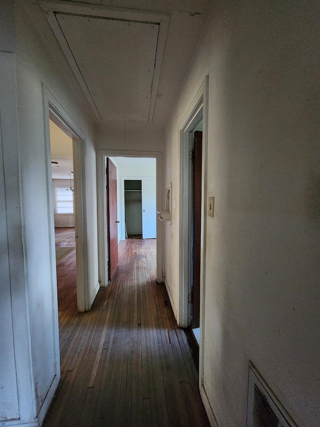 970 Peyton Dr, Beaumont, TX 77706 - corridor featuring attic access and dark wood-style flooring