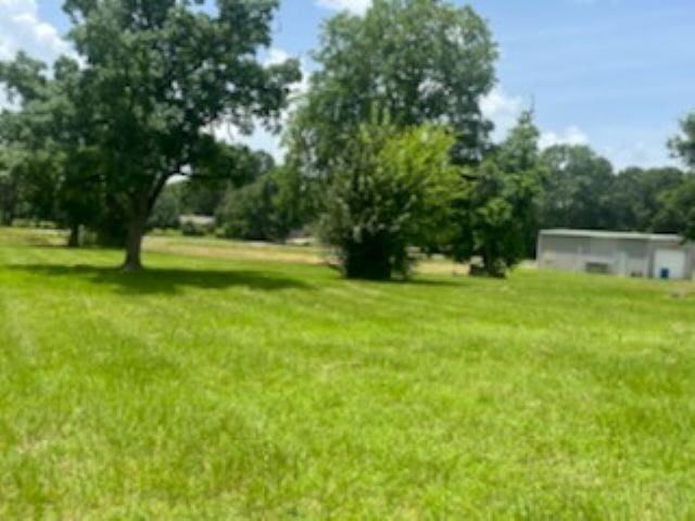2889 Fm 2799, Jasper, TX 75951 - photo 4