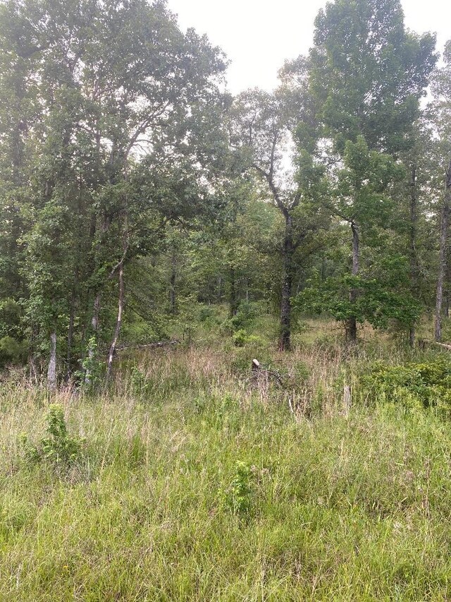 3830 Fm 1007, Brookeland, TX 75931